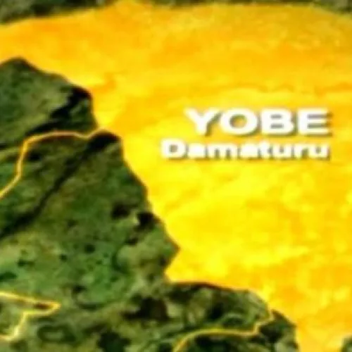 430 medicine outlets shut down in Yobe over illegal operations
