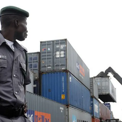 Customs intercepts consignment of endangered wildlife, arrests three in Kano