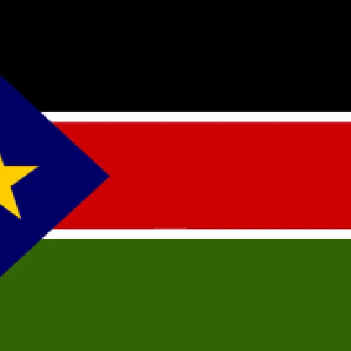 49 killed, 33 injured in South Sudan cattle raid