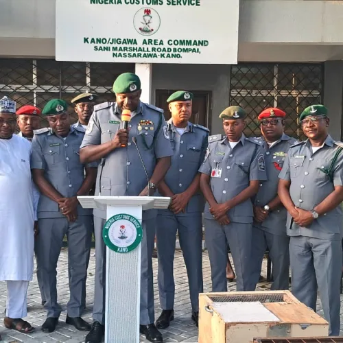 Customs Intercepts Trafficked Wildlife In Kano