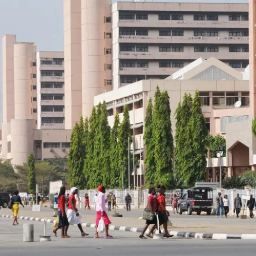 Fake Agency Scandal: Tinubu orders forensic audit of IPPIS, MDAs