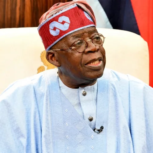 Fake Agencies: Tinubu Orders Comprehensive Forensic Audit Of IPPIS, MDAs