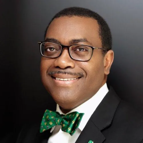 Adesina to headline daily times centenary awards as keynote speaker