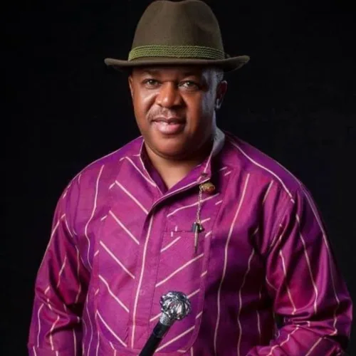 We Hardly See Igbo Heritage Films on Netflix — Actor Francis Duru Raises Concern