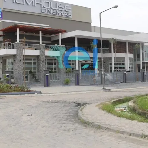 Two De@d as Machete-Wielding Man Storms IMAX Cinema in Lekki