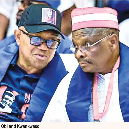 OK Movement rejects plan to replace Ughulu as DG, rules out merger with NDC