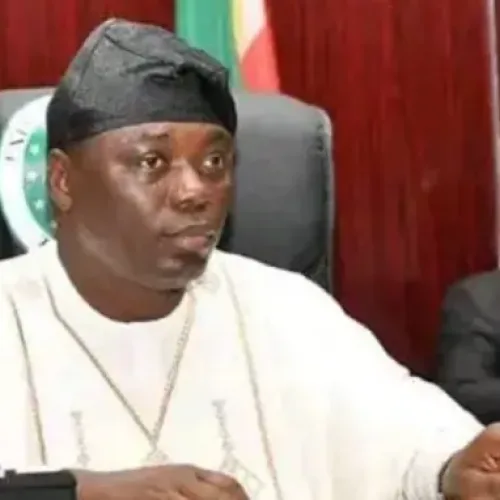 Taraba govt to arrest, prosecute livestock owners over sanitation, traffic rules violations