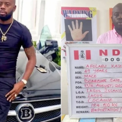 Cocaine Case: KC Luxury sues NDLEA, demands N190m compensation