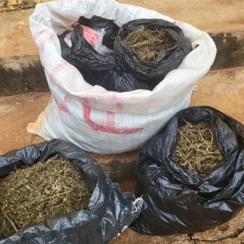 Police nab suspected drug dealer with ₦5.8m haul in Anambra