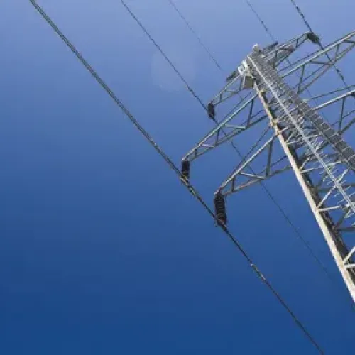 Millions licensed to die under power lines: How govt planning failures put lives, investments at risk