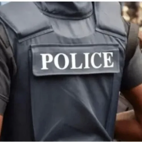 Police kill two kidnappers, rescue truck driver in Ogun