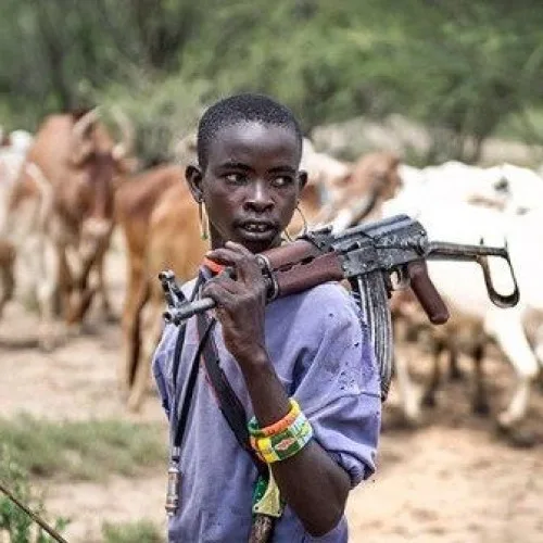 Former Delta Commissioner Raises Alarm Over Repeated Herdsmen Attacks on Farmland