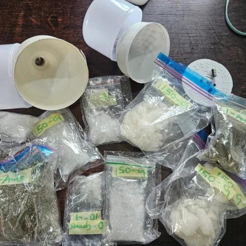 Police Intercept Cocaine Hidden in Bulbs, Recover Gun in Delta