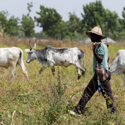 Suspected Herdsmen Attack Leaves Uniben Graduate Dead In Delta